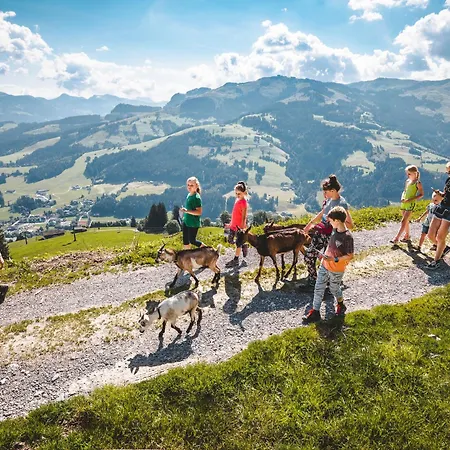 Taxacher By Interhome